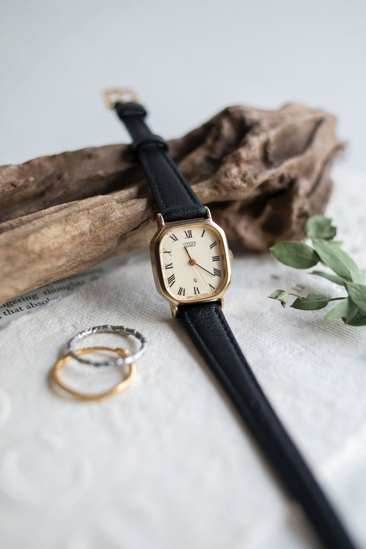 True Vintage: Citizen C117