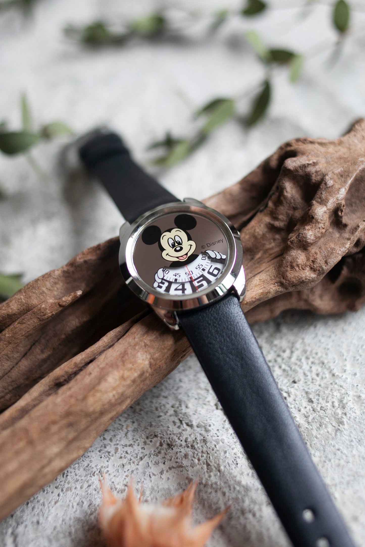 Premium Vintage: Mickey Mirrored (7695667921055)