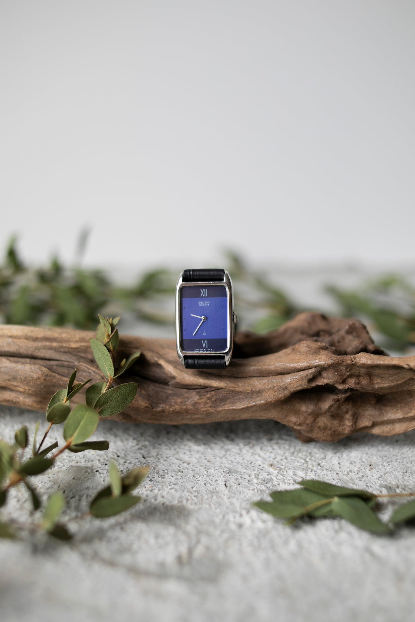 True Vintage: Seiko Ocean