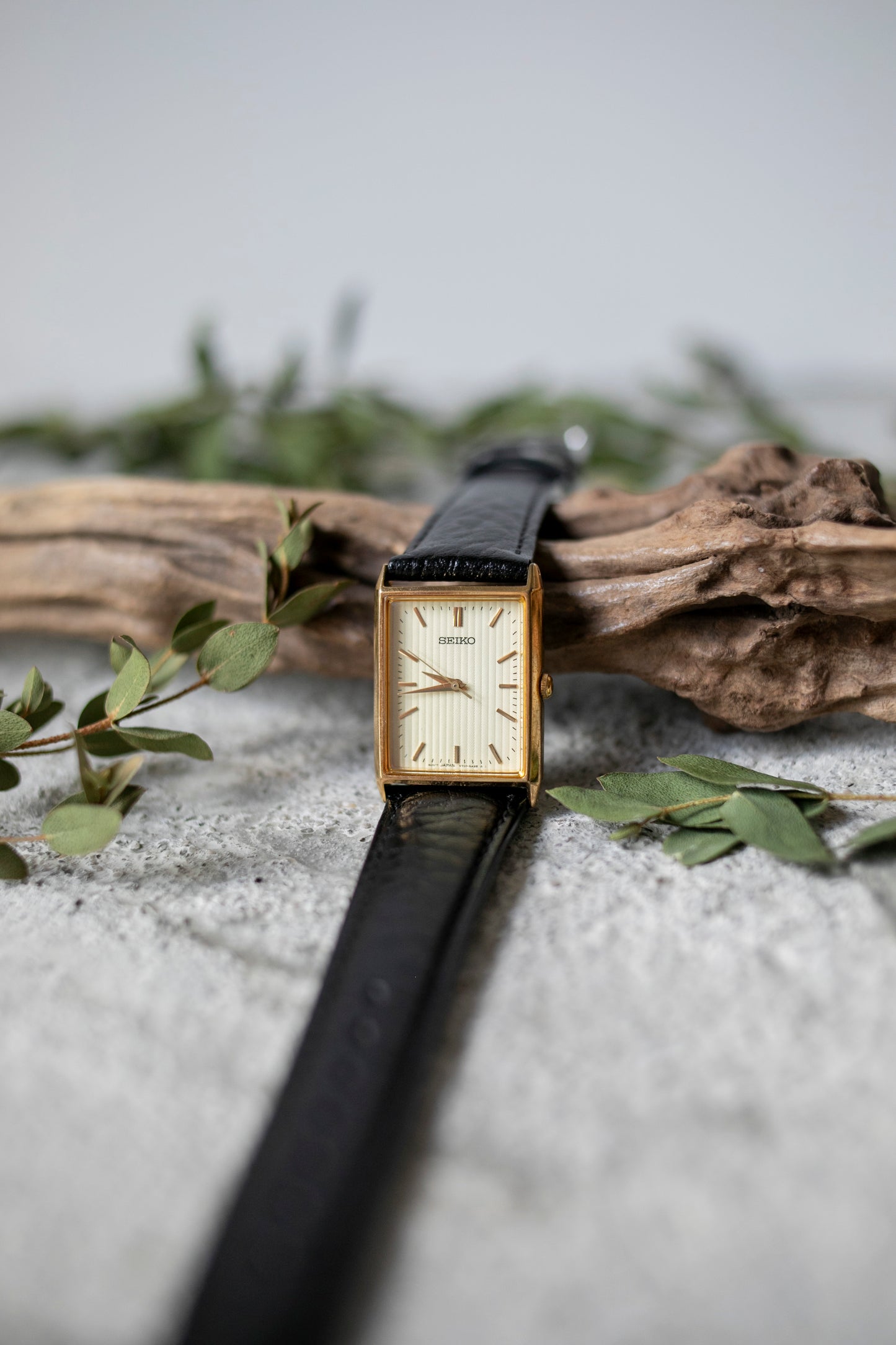 True Vintage: Seiko Striped (9250361933983)