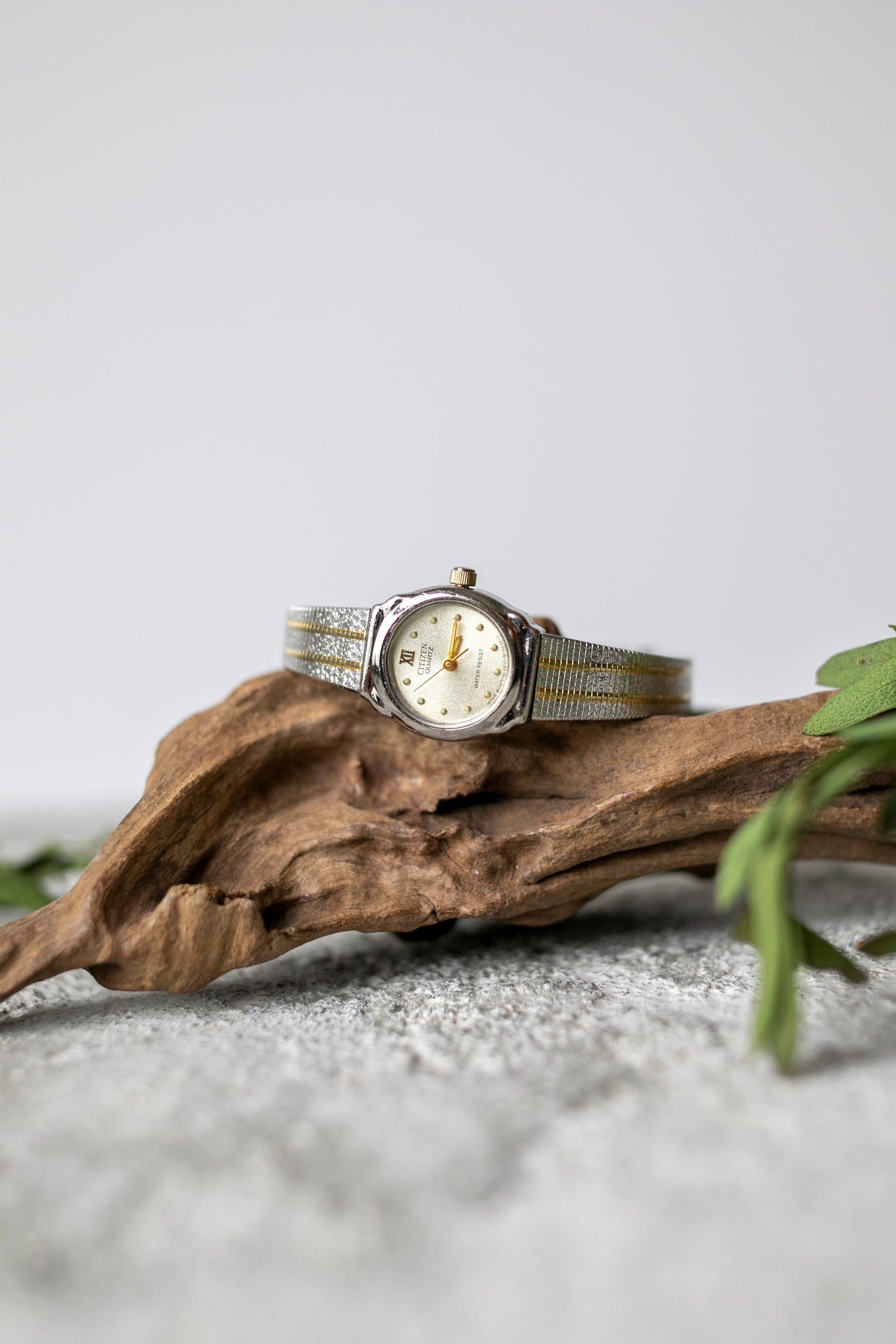 True Vintage: Citizen Striped (9353626288287)