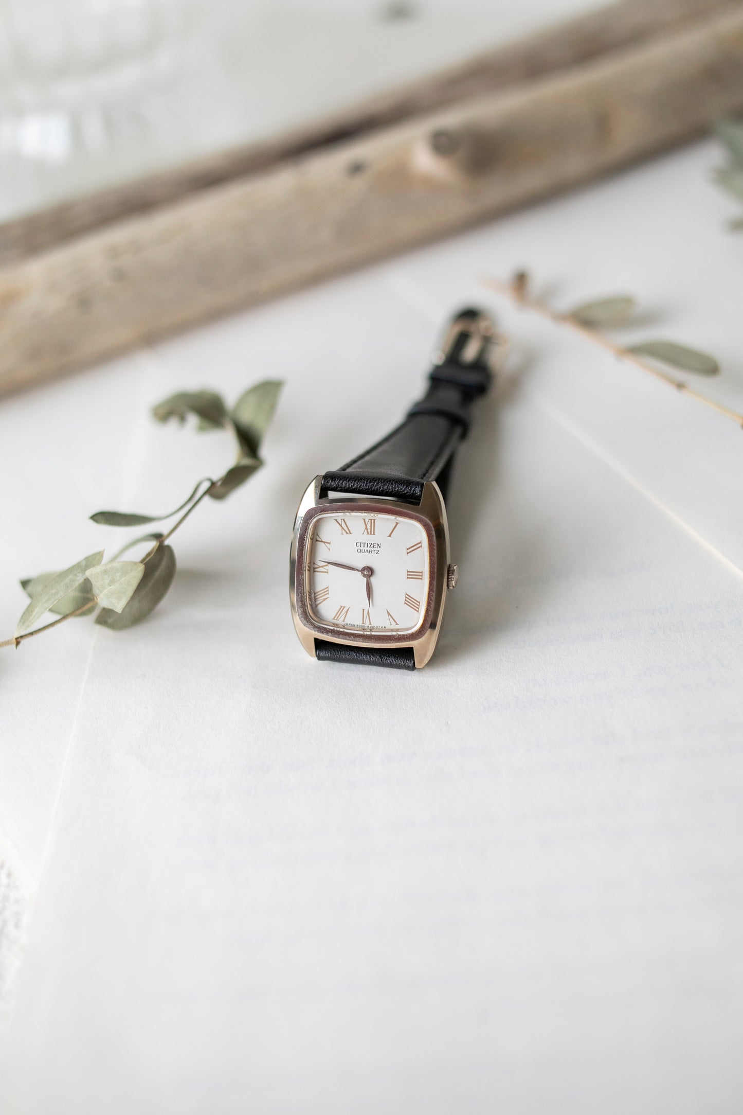 True Vintage: Citizen Boxy (9570400632991)