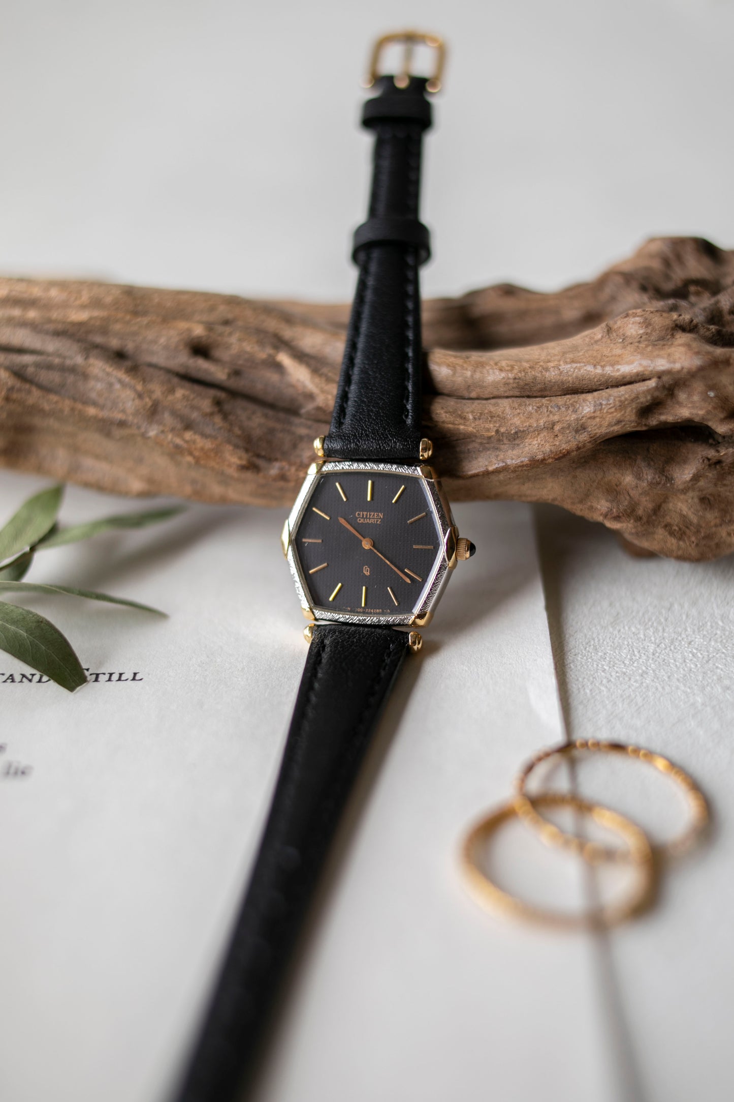 True Vintage: Citizen C41