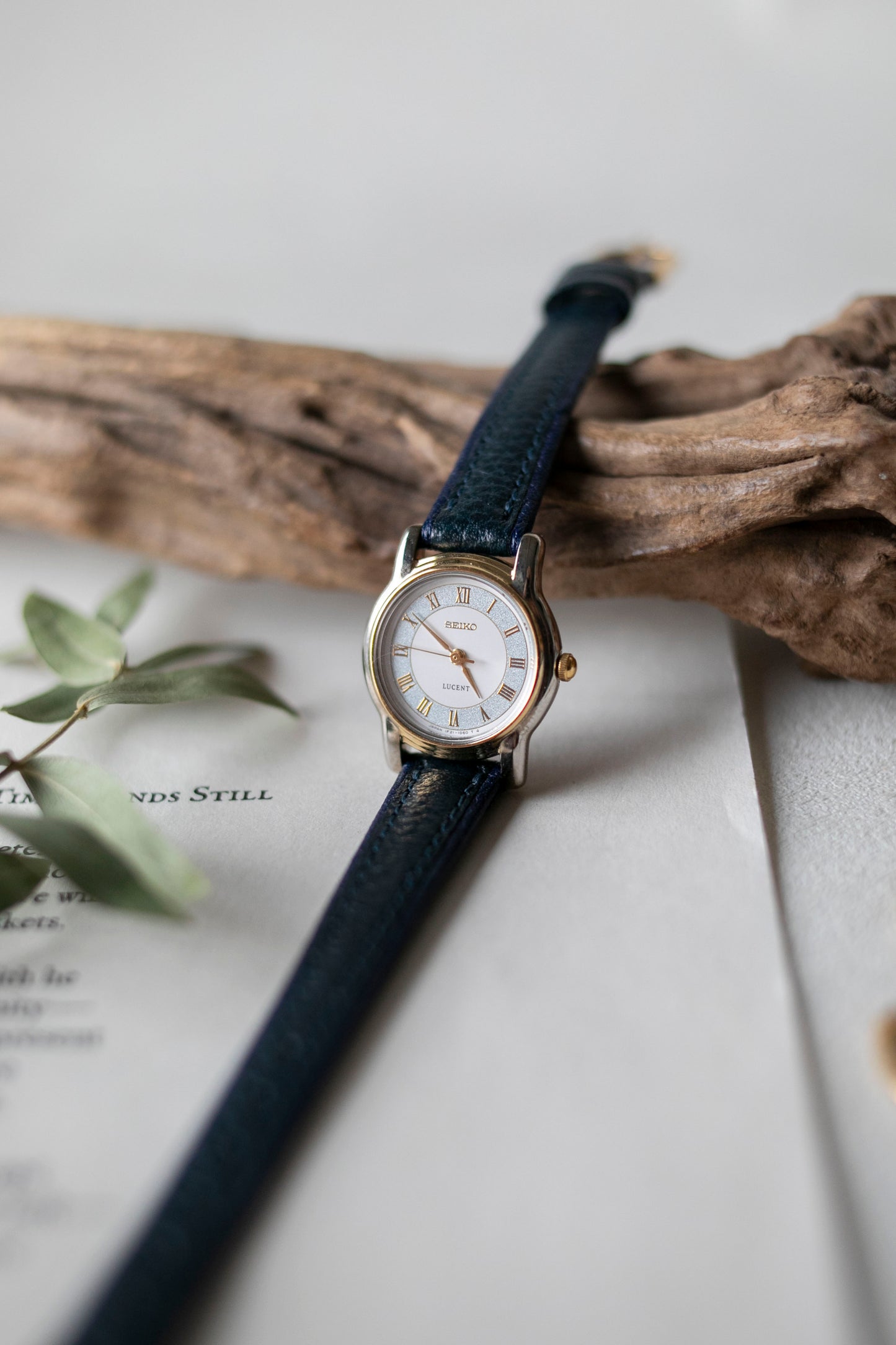 True Vintage: Seiko S282 (10876685615263)