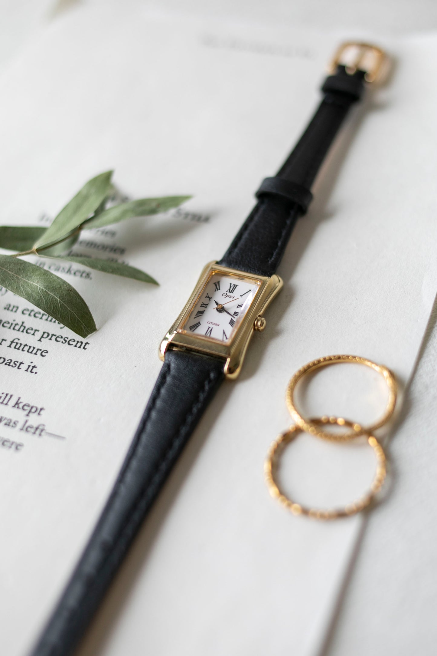 True Vintage: Citizen C30