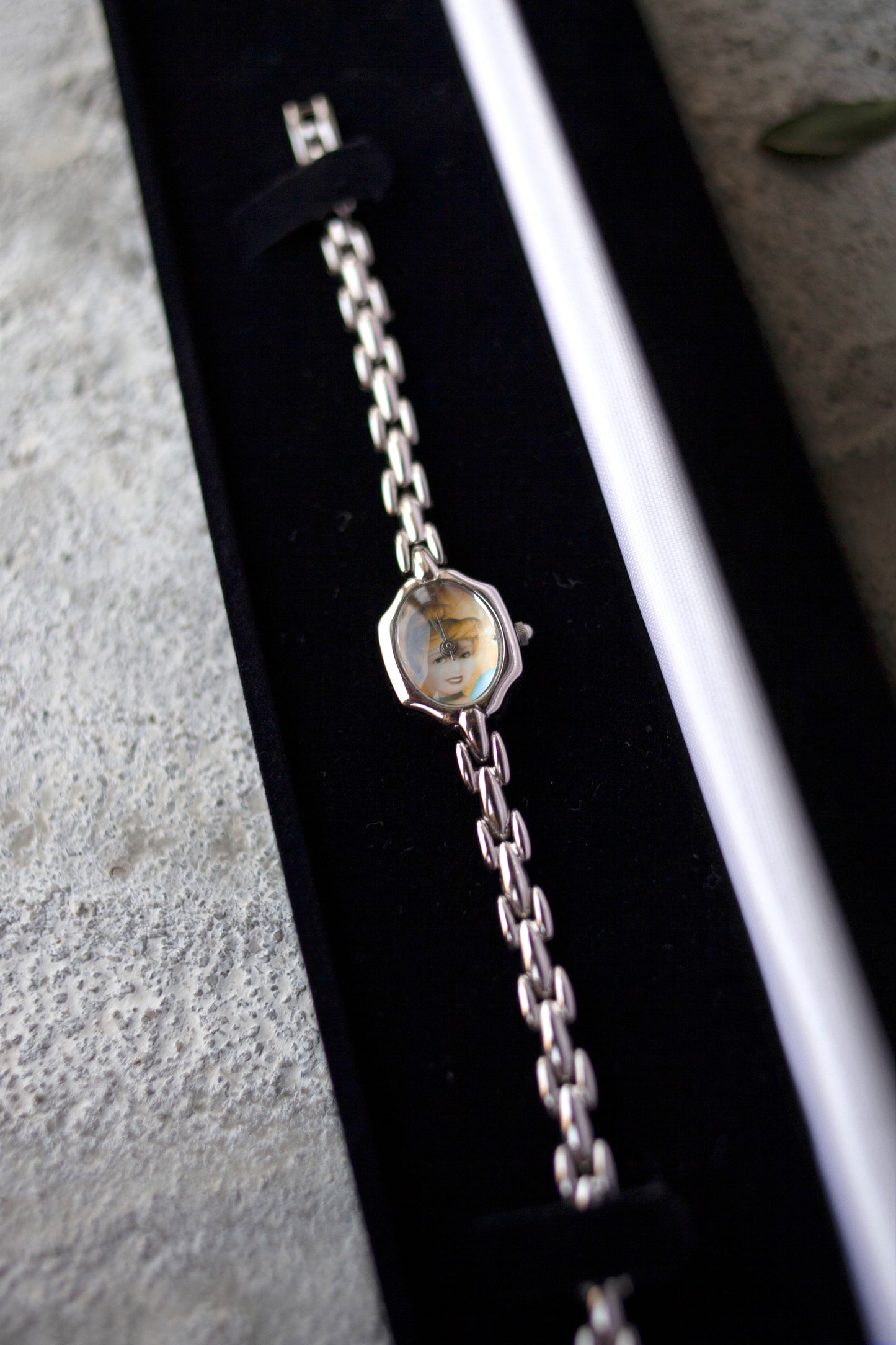 Premium Vintage: Cinderella's Portrait