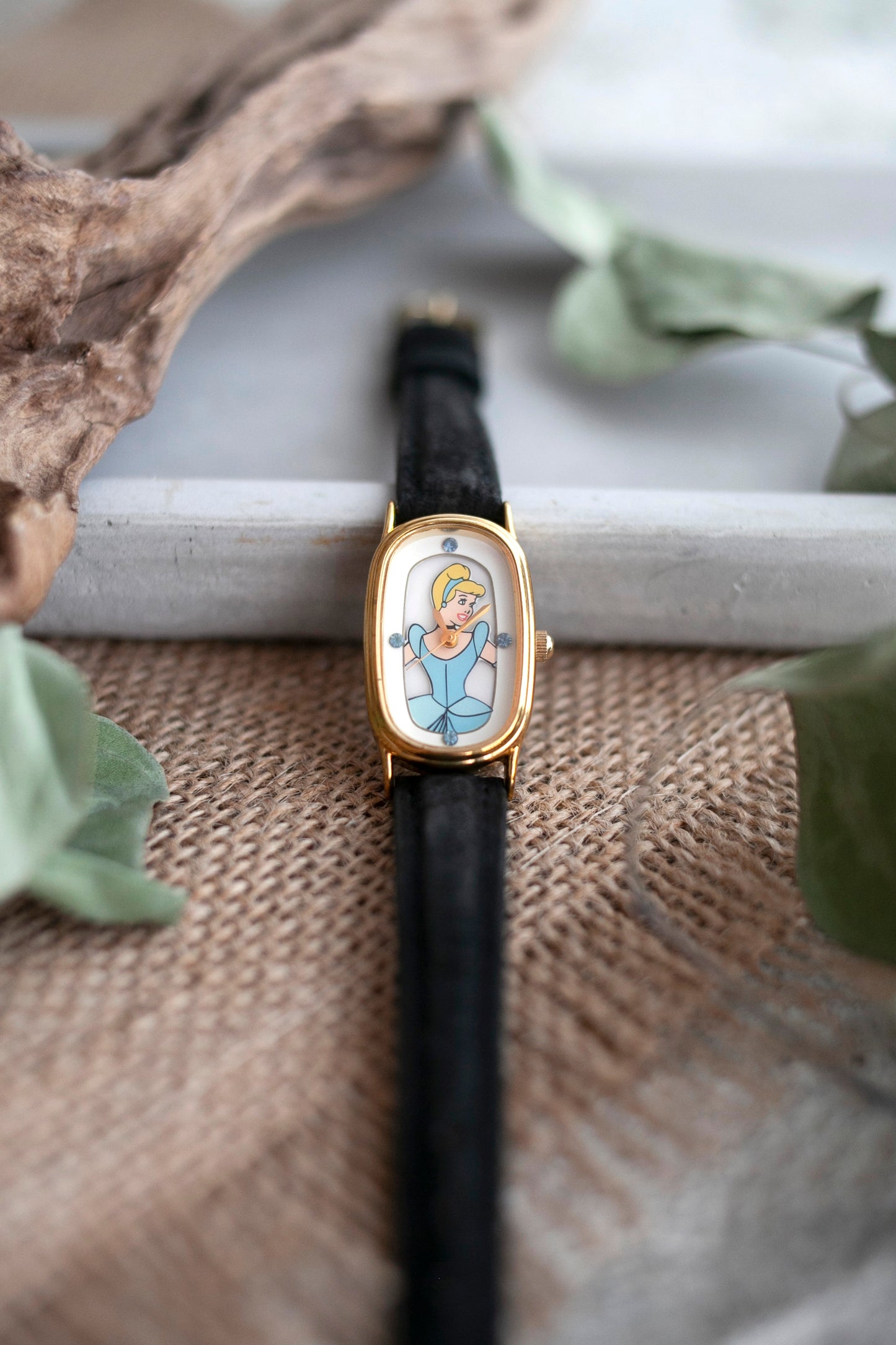 Premium Vintage: Cinderella