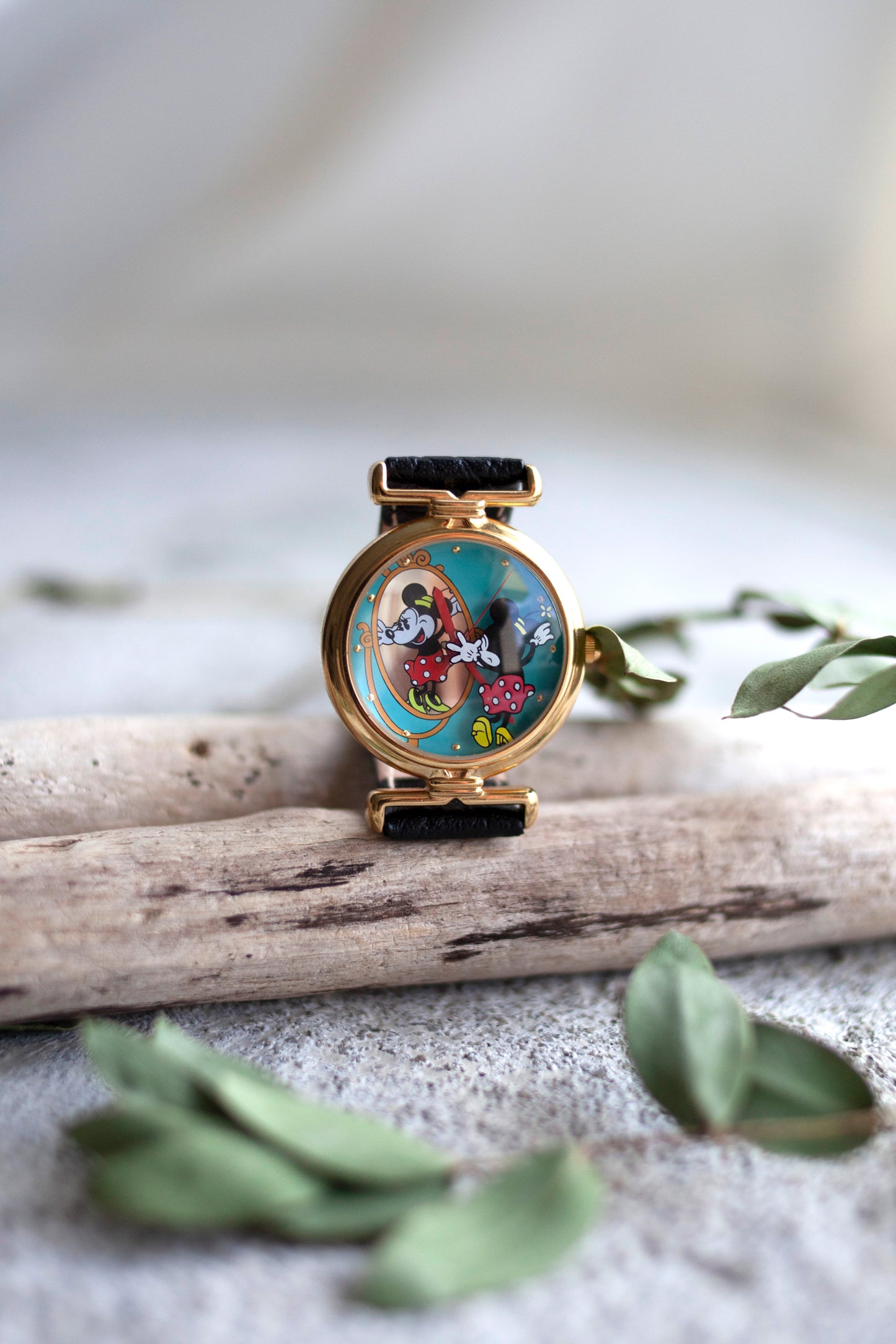 True Vintage: Minnie Mirrored