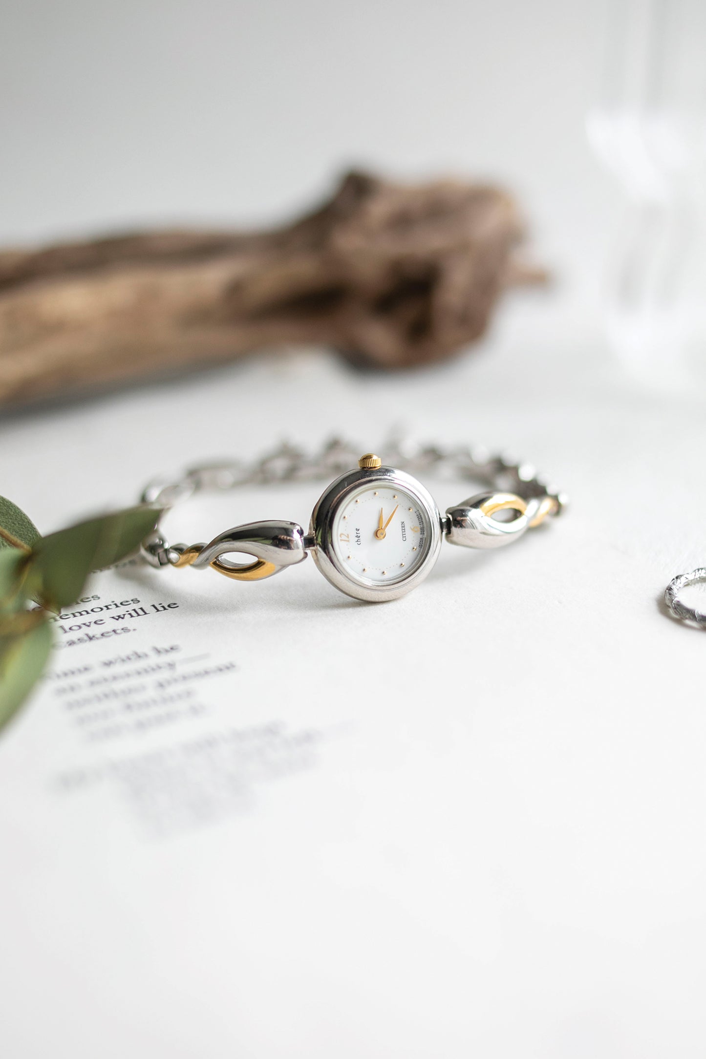 True Vintage: Citizen Twist (10906477363359)