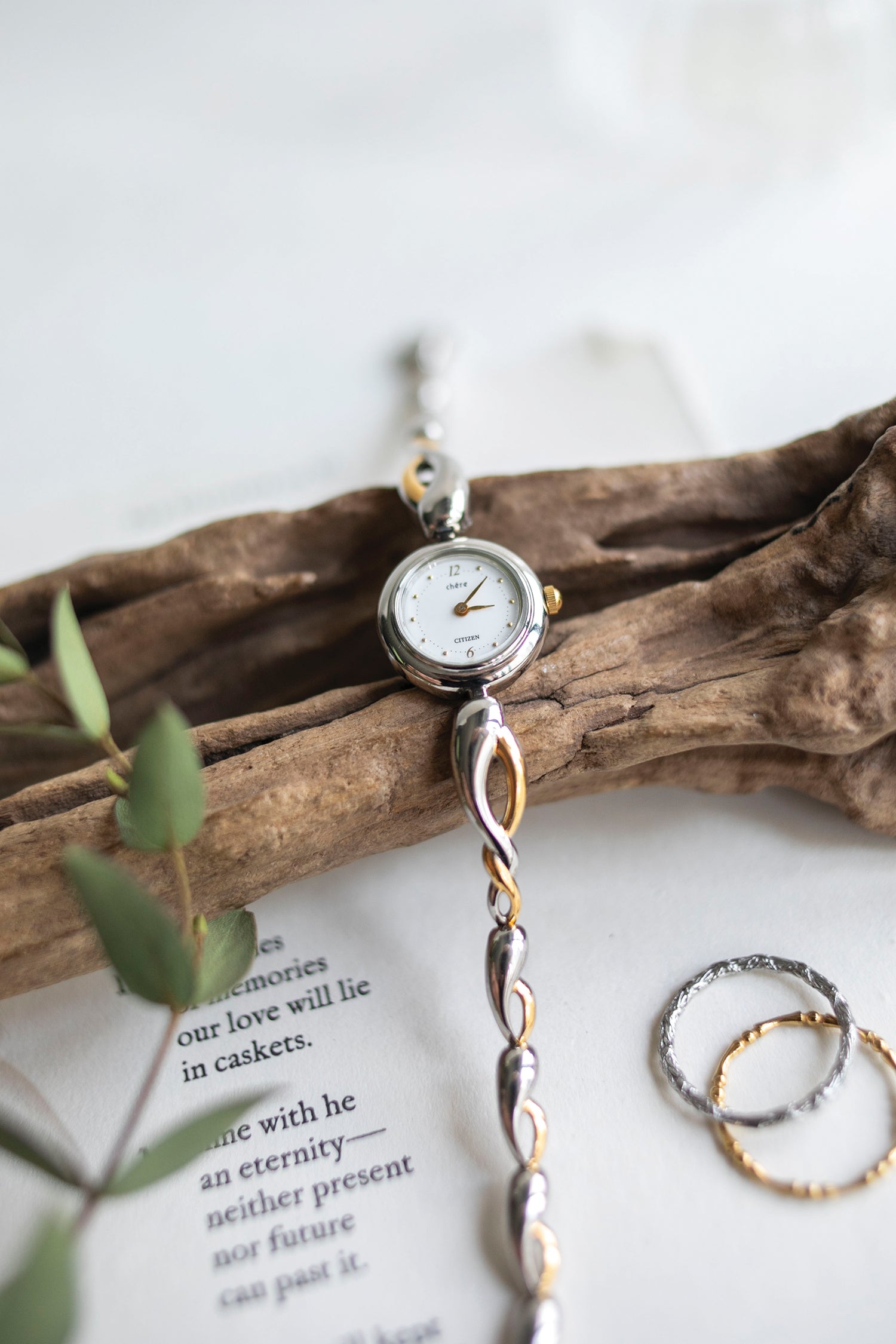 True Vintage: Citizen Twist (10906477363359)