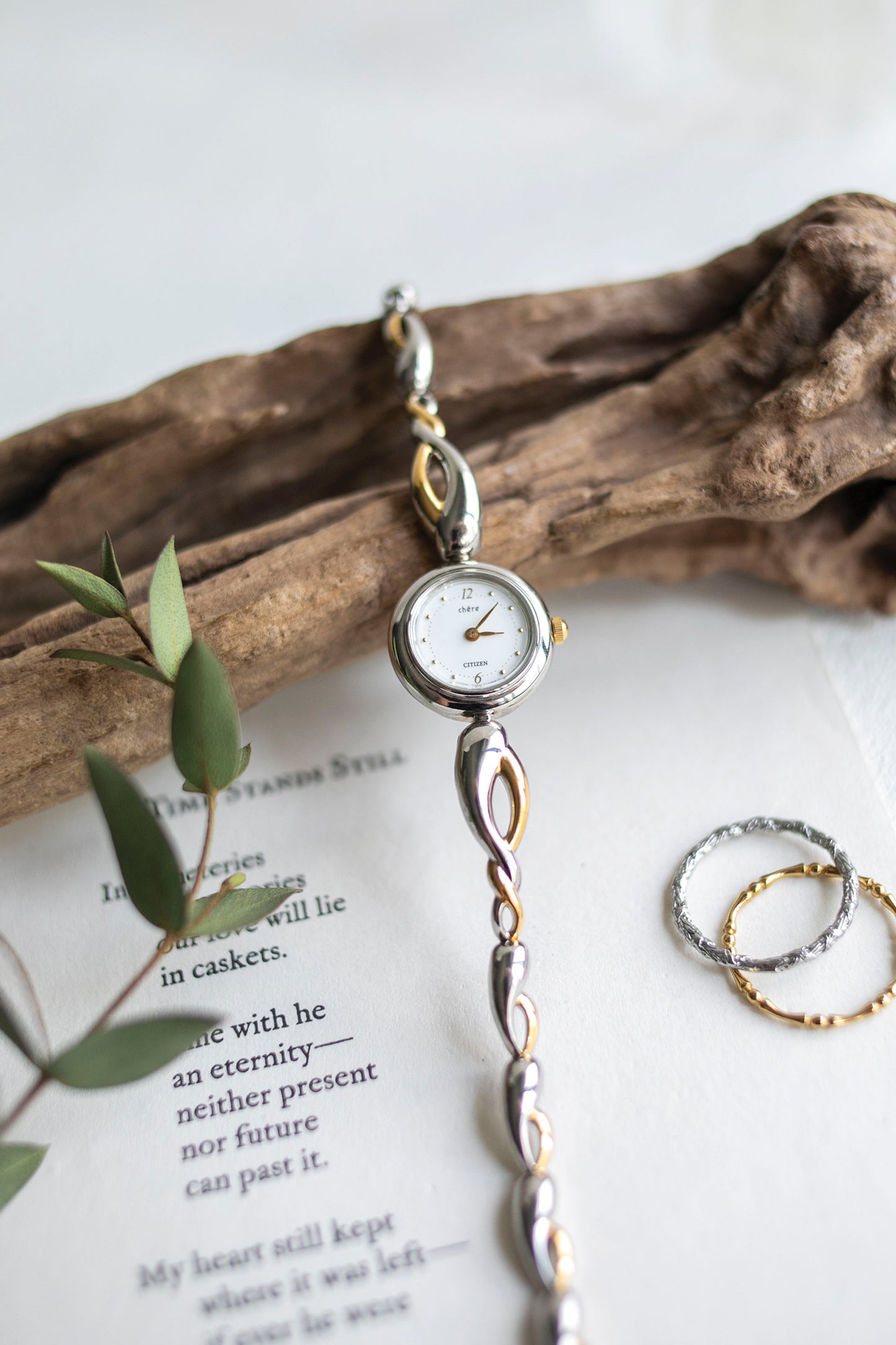 True Vintage: Citizen Twist (10906477363359)
