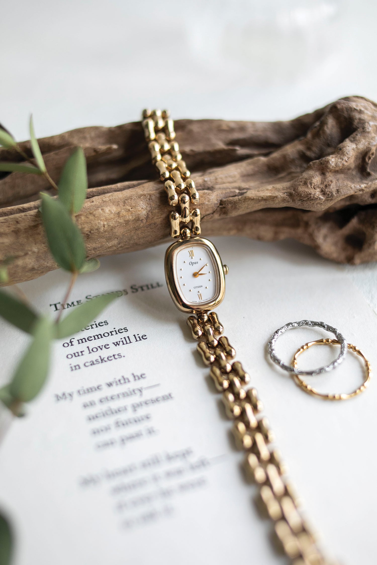 True Vintage: Citizen Tabby (10906554007711)