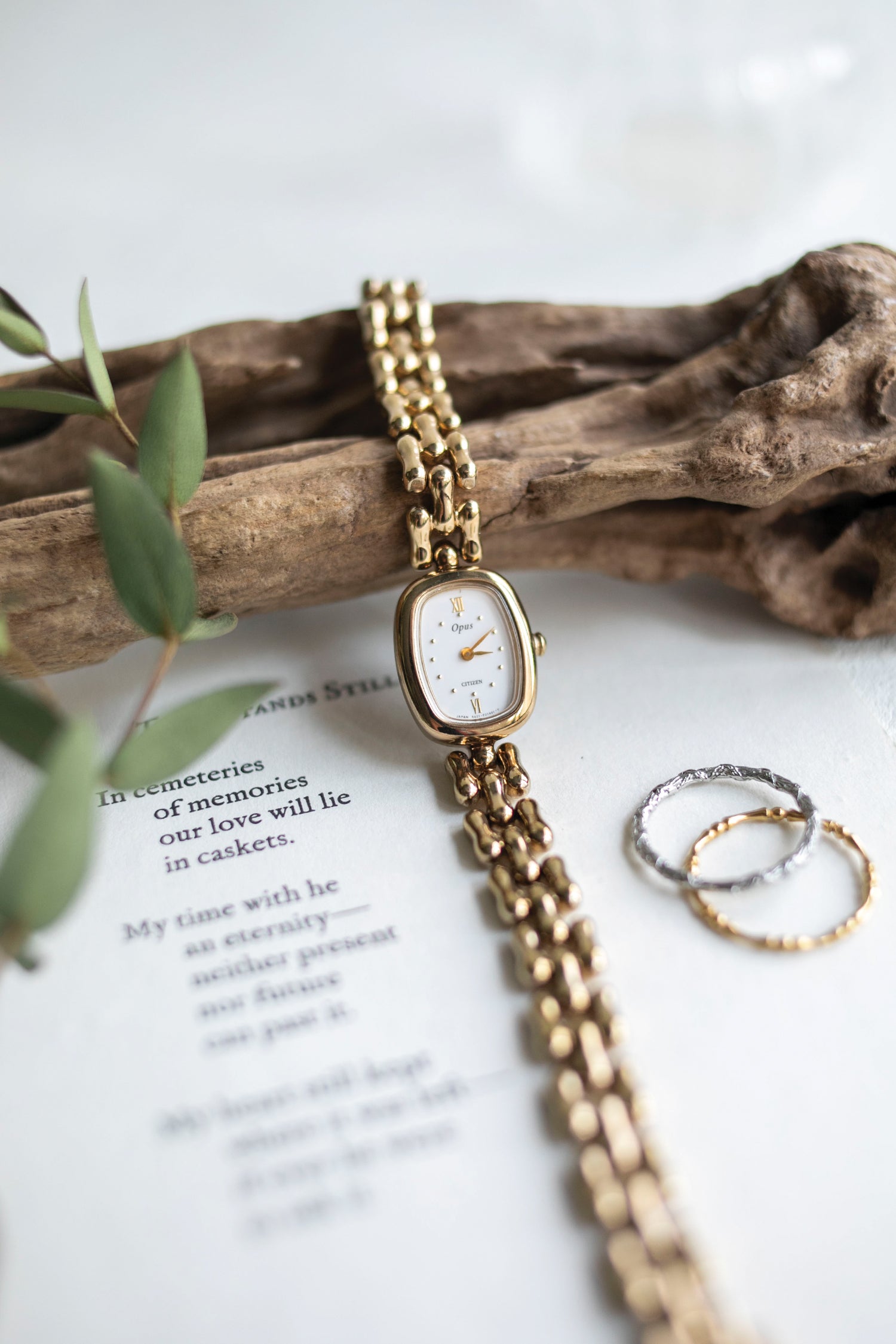 True Vintage: Citizen Tabby (10906554007711)