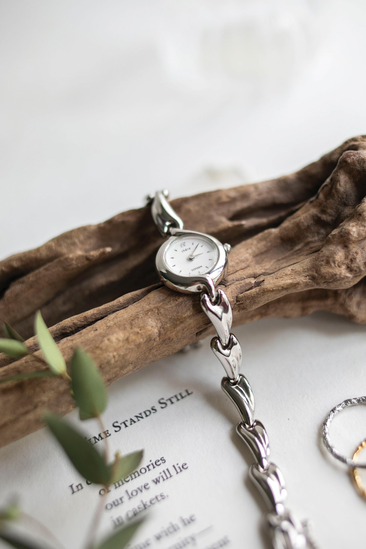 True Vintage: Citizen Vane (Silver) (10906478608543)