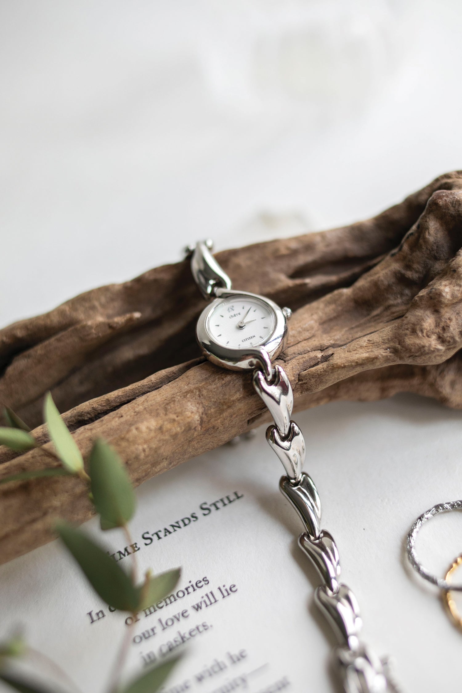 True Vintage: Citizen Vane (Silver) (10906478608543)