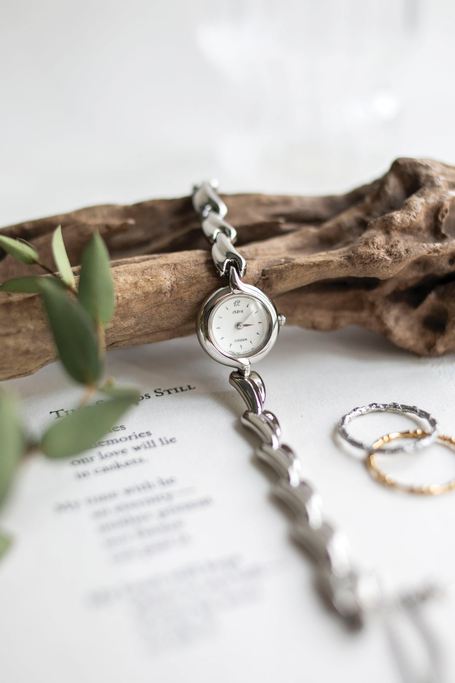 True Vintage: Citizen Vane (Silver) (10906478608543)
