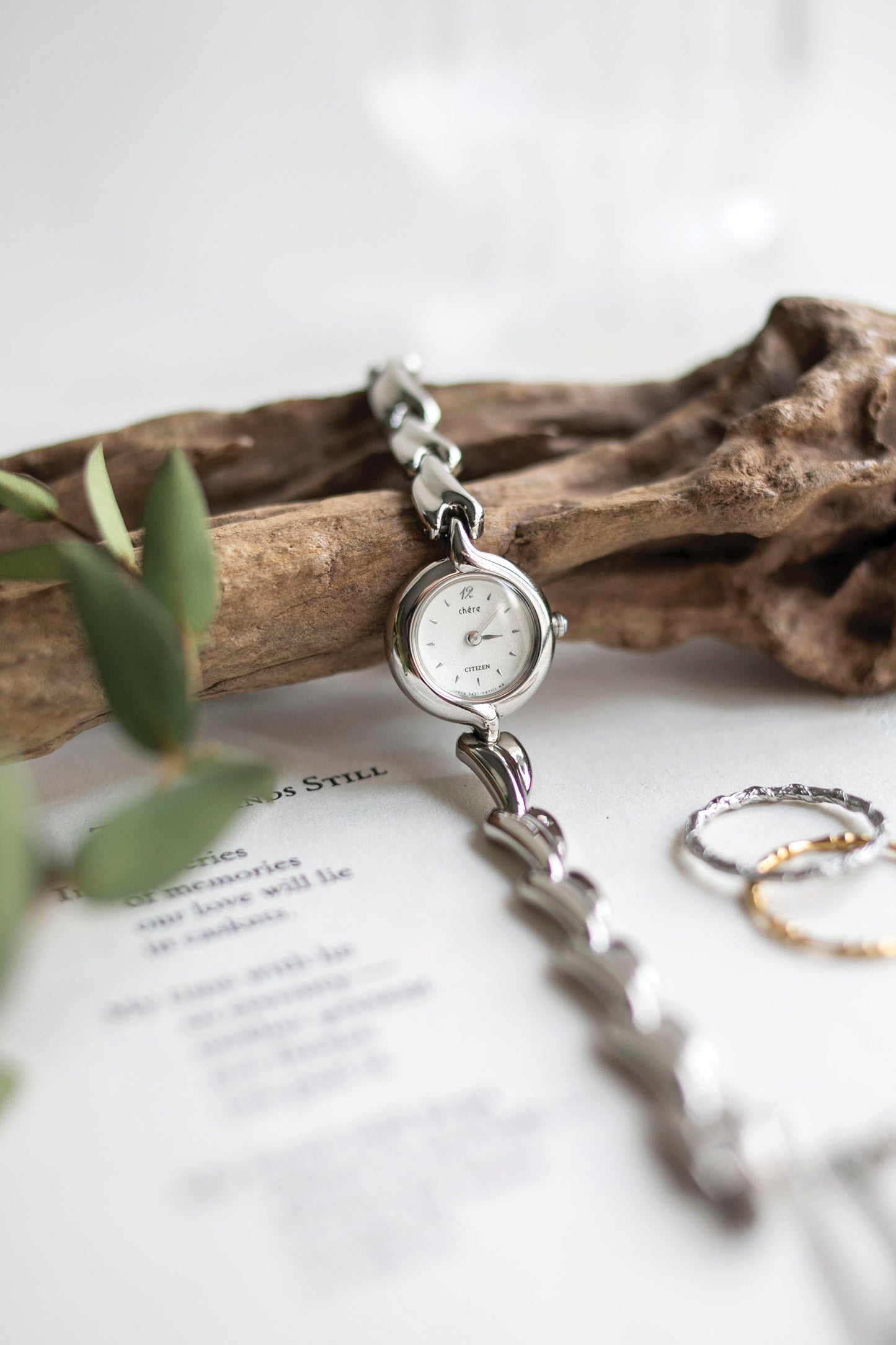 True Vintage: Citizen Vane (Silver) (10906478608543)