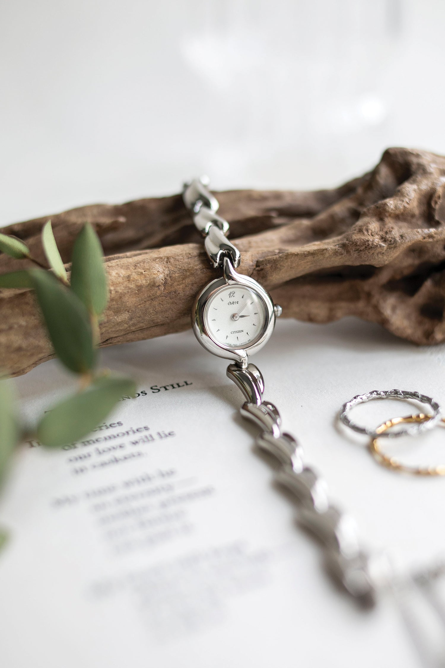 True Vintage: Citizen Vane (Silver) (10906478608543)