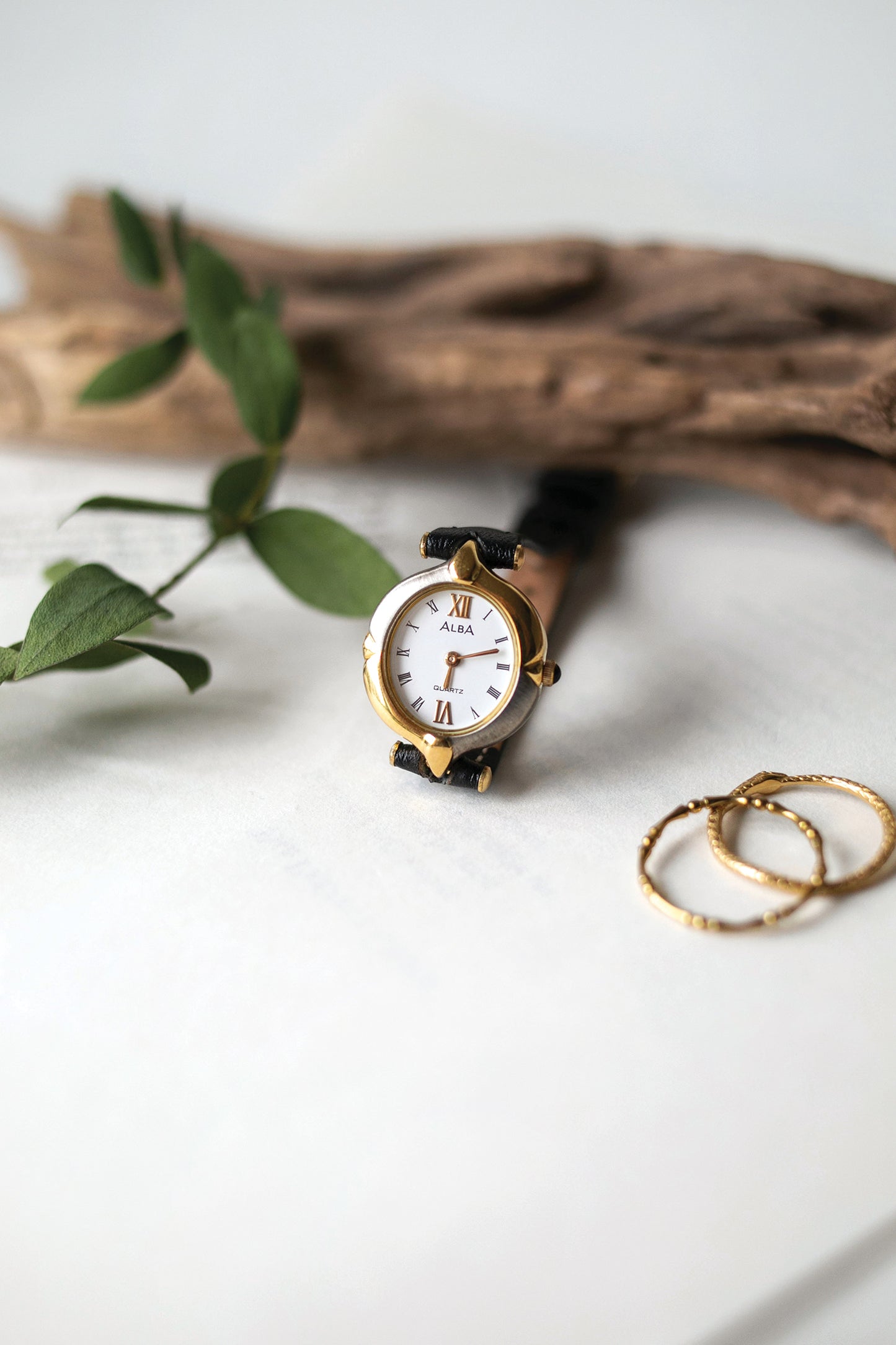 True Vintage: Alba A26 (Dual)