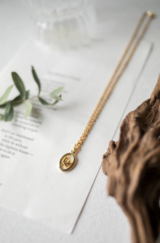 Vintage Christian Dior Oval Logo Pendant Necklace (J-CD06)