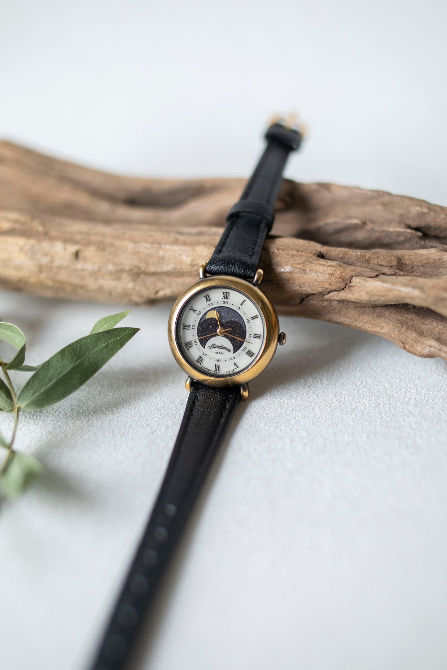 True Vintage: Alba MP19