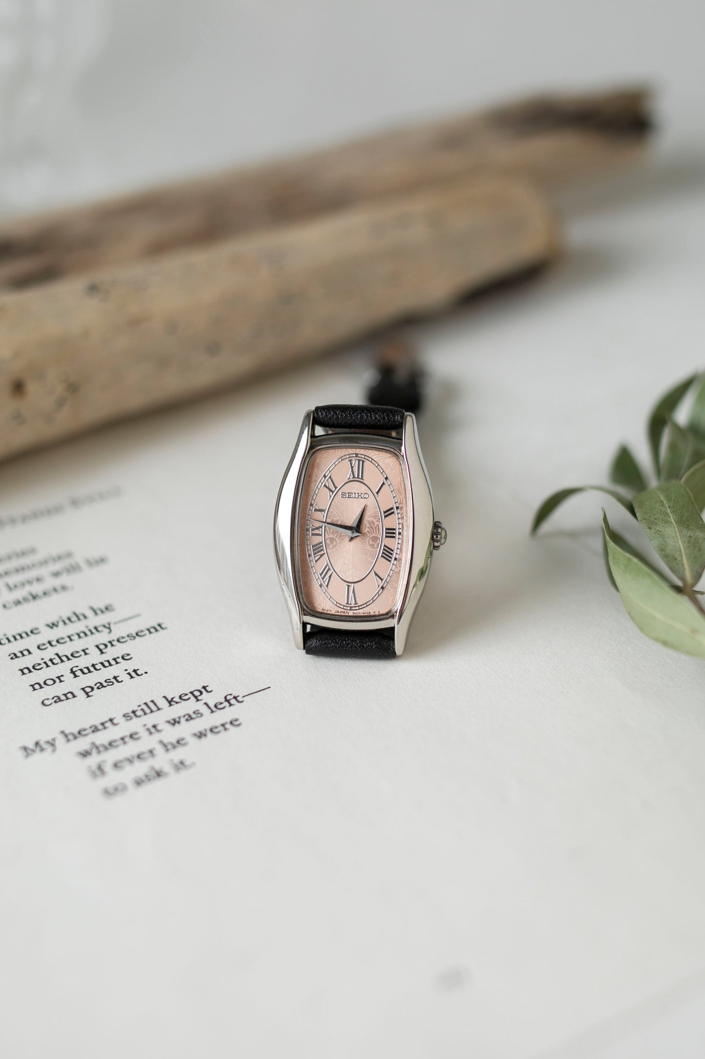 True Vintage: Seiko S251