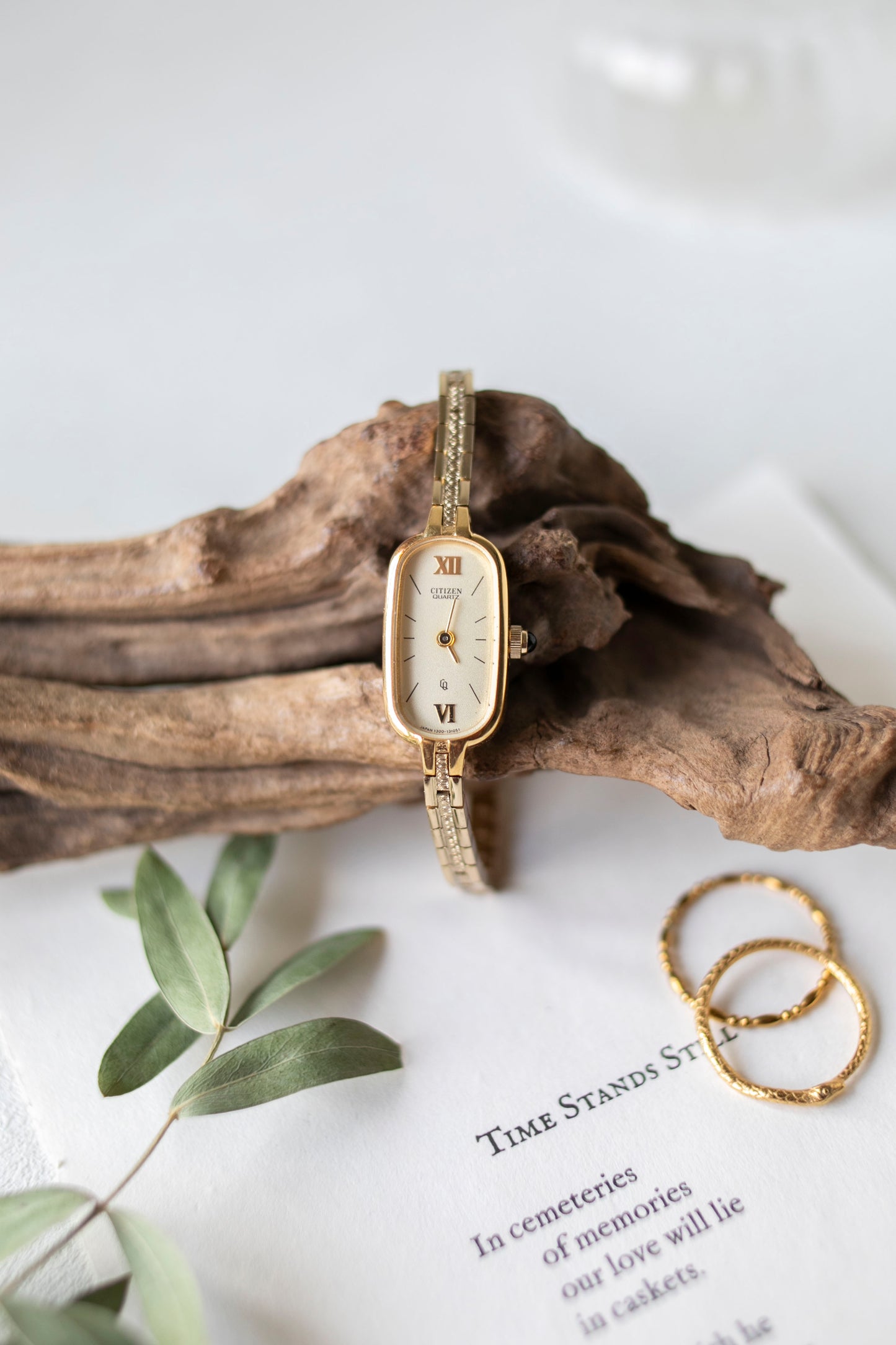 True Vintage: Citizen C2