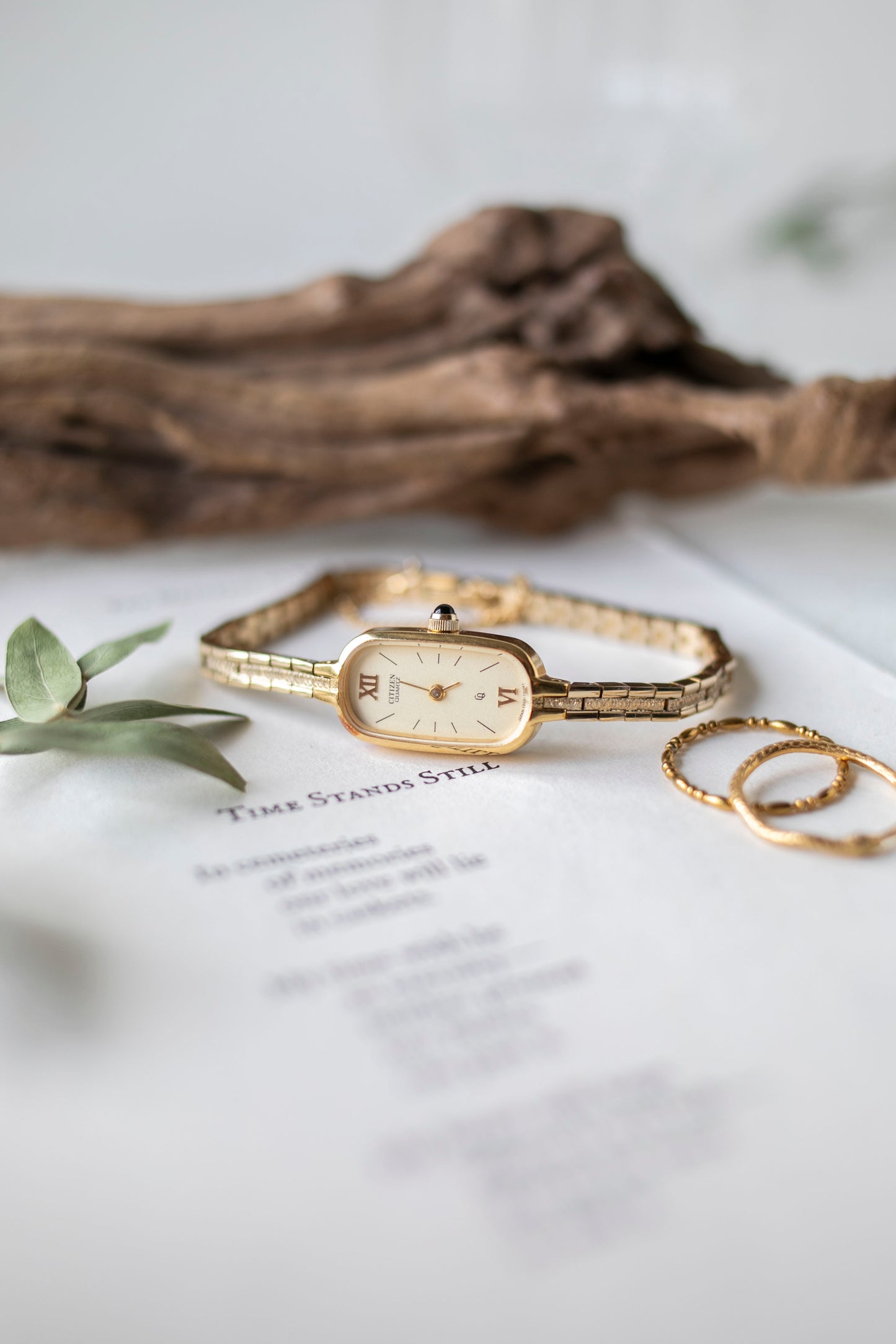 True Vintage: Citizen C2