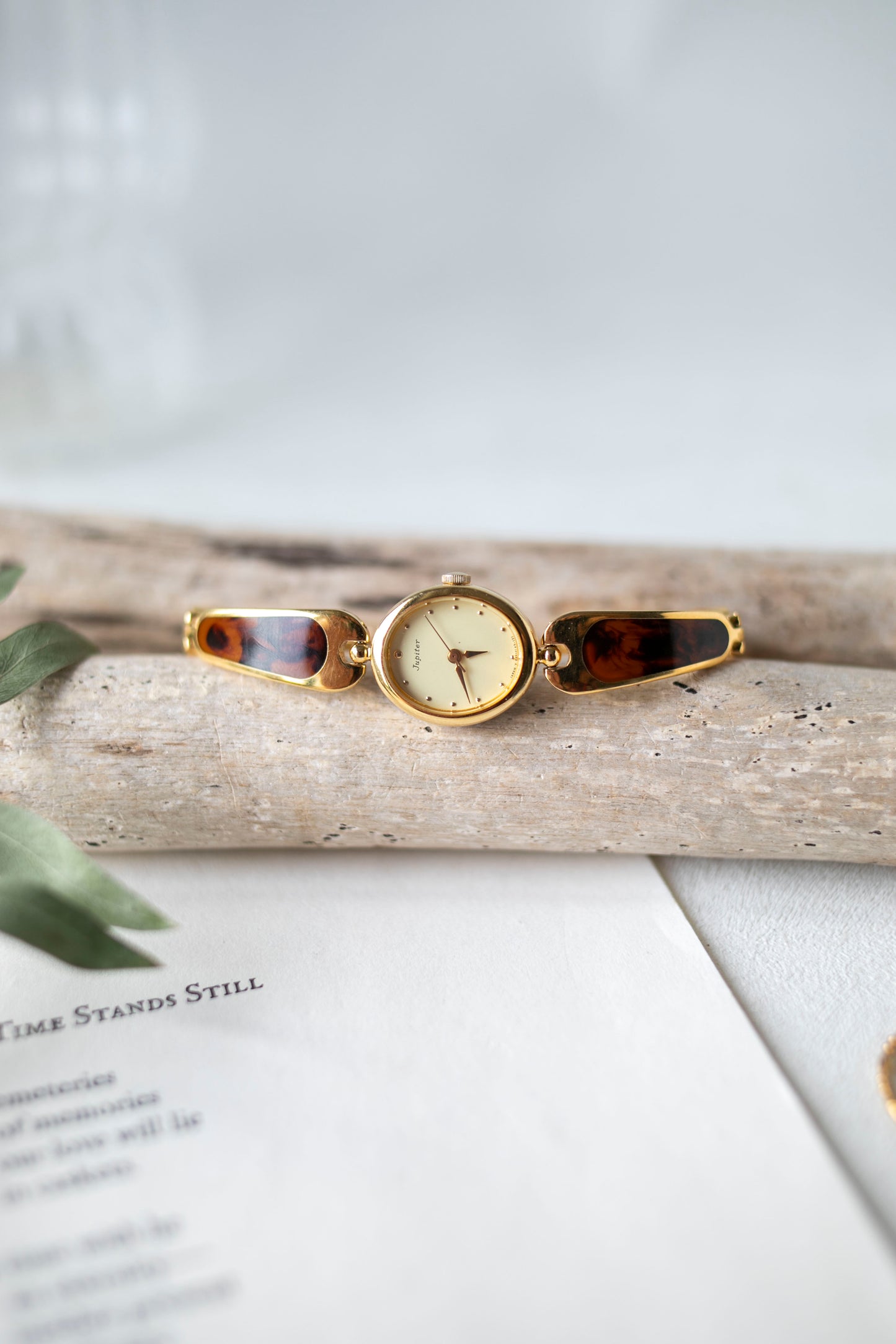 True Vintage: Orient OR1