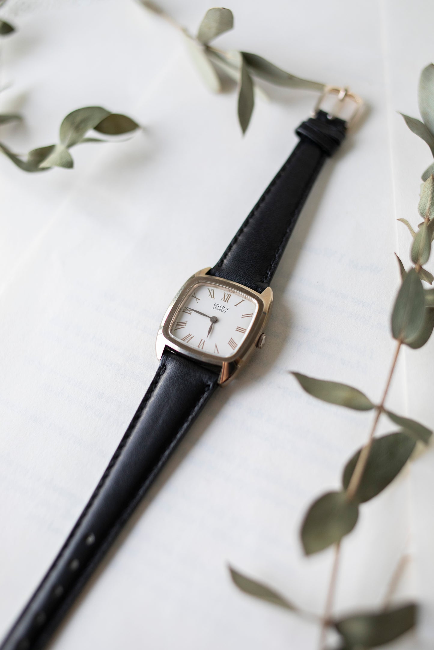 True Vintage: Citizen Boxy