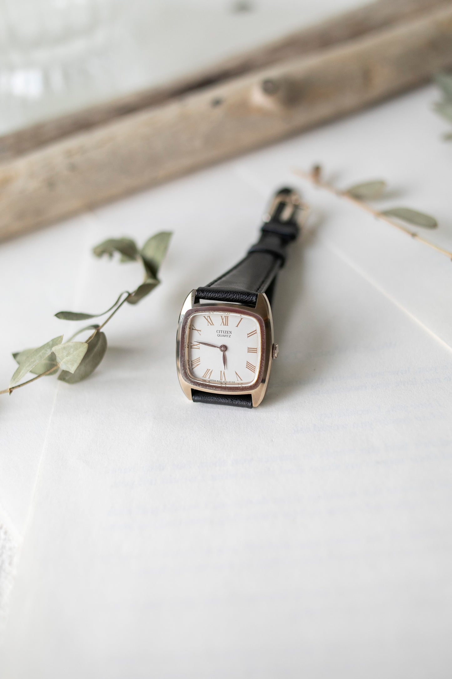 True Vintage: Citizen Boxy