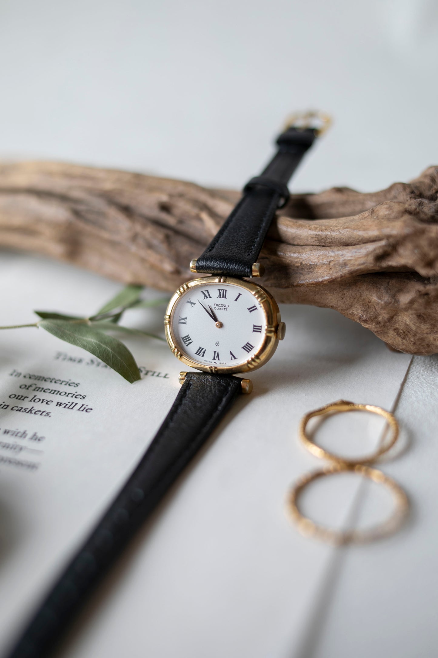 True Vintage: Seiko S317