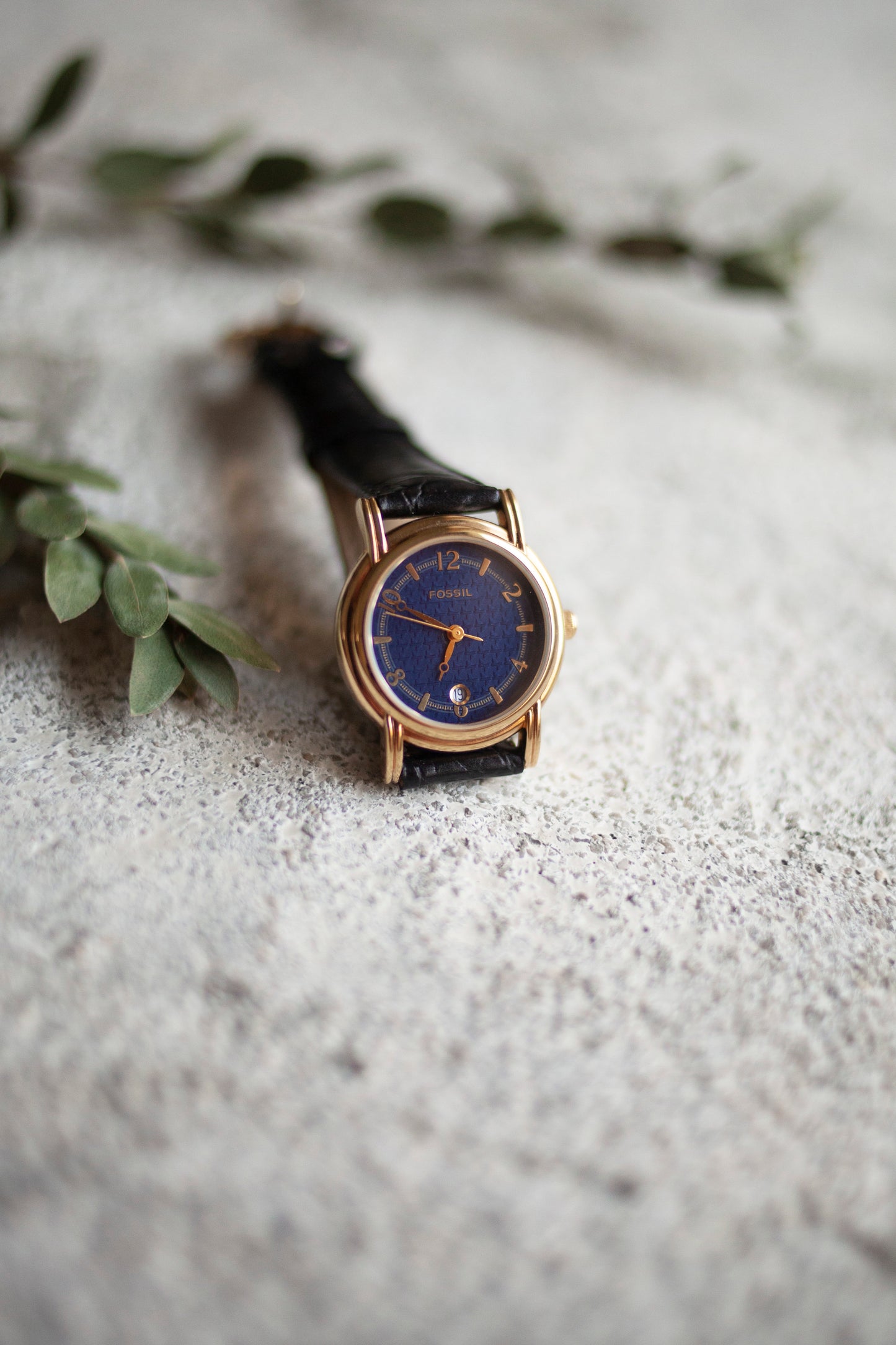 True Vintage: Fossil Blue